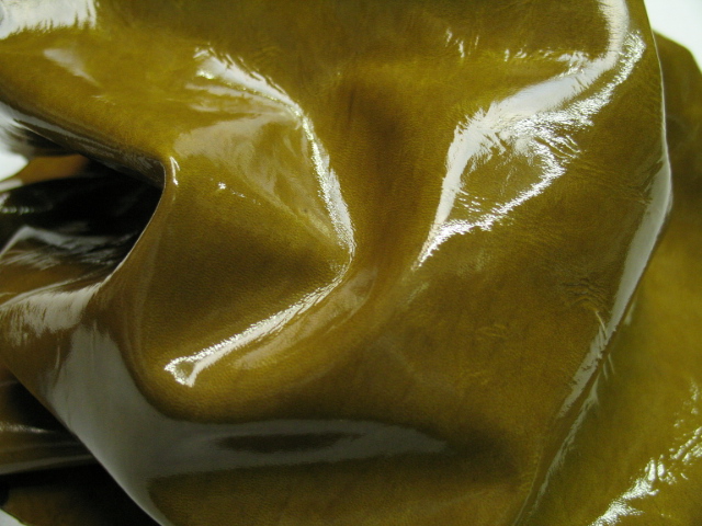 patent leather raptor 7